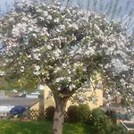 Holiday home Renate 7