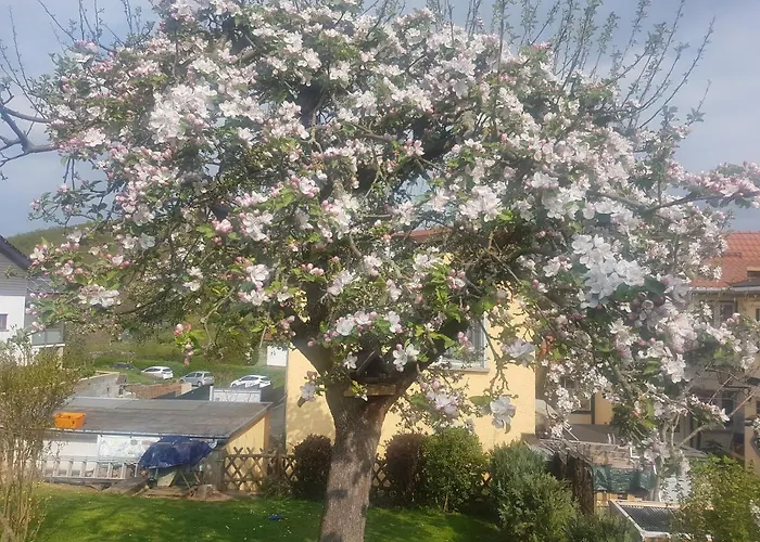 Σπίτι διακοπών Renate 7